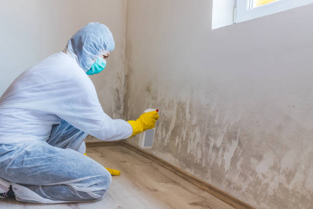 Mold Remediation specialist working in Lignum
